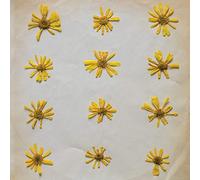 The Molochs - Flowers In The Spring