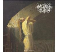 The Mosaic Window Plight of Acceptance (Vinyl LP)
