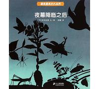 The Most Beautiful Nature: After Nightfall (Chinese Edition)