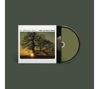 THE SUNSET TREE