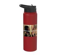 The Mummy Where My Lore Started Love Story Stainless Steel Insulated Water Bottle