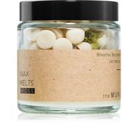 The Munio Moss cera per lampada aromatica 60 ml