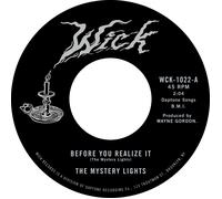 The Mystery Lights Before You Realise It/Cerebral Crack (Vinyl LP) 7" Single