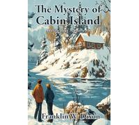 The Mystery on Cabin Island: A Positronic Book: 8