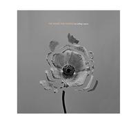 The Naked And Famous - In Rolling Waves