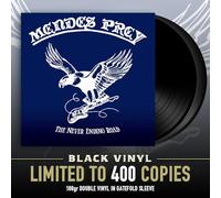 the never ending road (2lp)