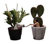 The NeverEnding Story Gnomo da Giardino (TT739)