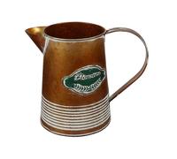 The New 1pcs Iron Flower Vase