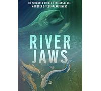 The New Coach Guide to Youth Football Skills and Drills