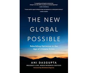 The New Global Possible: Evidence for Hope in the Fight for a Sustainable Future