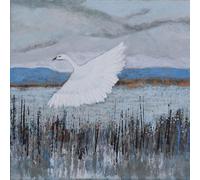 The New Leaves - A Sketch Of Home