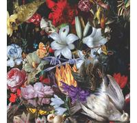 The Nightingales Perish the Thought (Vinyl LP) 12" Album