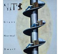 The Nits - Giant Normal Dwarf