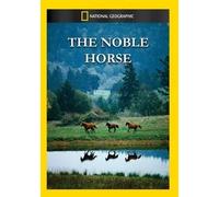 The Noble Horse (DVD)
