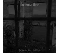The Noise Birds The Dark Sea Hides a Bright Light (Vinyl LP)