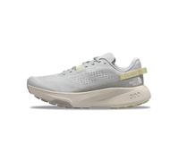 The North Face Altamesa 300 Scarpe da Trail Running da Uomo Glacier Gray/Soapstone 46