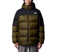 THE NORTH FACE W Hydrn Dwn Hoodie