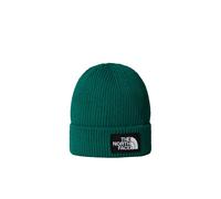 The North Face Berretto Con Risvolto E Logo Box Tnf Evergreen Rozmiar Taglia Unica male