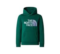 THE NORTH FACE B Drew Peak P/o Hoodie - Bambino - Verde - Taglia 14/16 anni- modello 2025