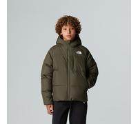 The North Face Giacca Con Cappuccio North Down Da Ragazzo New Taupe Green Rozmiar L male