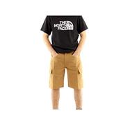 THE NORTH FACE M HORIZON SHORT NF0A824D173 - BEIGE / 32