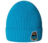 The North Face - Kid's TNF Logo Box Cuffed Beanie - Berretto One Size blu
