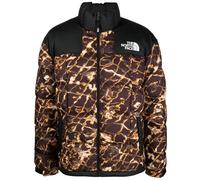 THE NORTH FACE Lhotse - Giacca Coal Brown Wtrdstp/Tnfb S