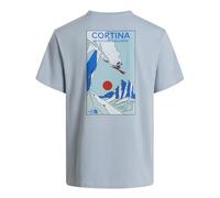 The North Face Mountain Celebration Regular Short SLE T-Shirt da Uomo Frost Grey XS