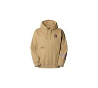 The north face mountain cleanup unisex oversized hoodie green