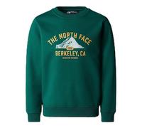 The North Face NF0A89H8NL11 Teen Varsity Graphic Relaxed Crew Felpa con Cappuccio Unisex Bambino Evergreen Taglia S
