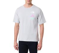 The North Face NF0A8CKKA0M M Graphic SS Tee - AP T-Shirt Uomo High Rise Grey Taglia S