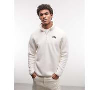 The North Face Shispare 1/4 Zip Fleece Pullover da Uomo White Dune L