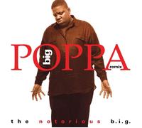 The Notorious B.I.G. Big Poppa (Remix) (Vinyl LP)