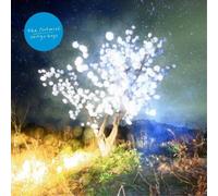 The Notwist Vertigo Days (CD) Album