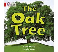 The Oak Tree: A non-fiction photographic picture book about the different parts of an oak tree.