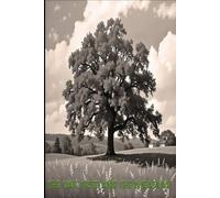 The Oak Tree and the Meadow