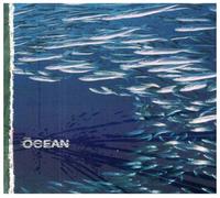 The'' ''Ocean - Fluxion