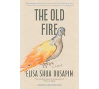 The Old Fire: A Novel