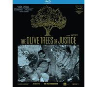 The Olive Trees of Justice