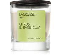 The Olphactory Lacrosse Citrus & Basilicum candela profumata 200 g