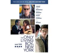 The Only Living Boy in New York [DVD] [2017] [Region Free]