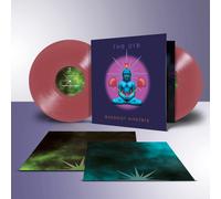 THE ORB - Buddhist Hipsters (2025) 2 LP rust red vinyl preorder