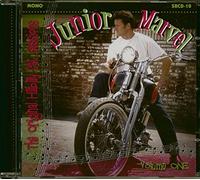 The Original Hillbilly Cat Sessions Vol.1 (CD)