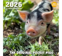 The Original Pocket Pigs 2026 Calendar: Tiny porcine friends brightening every page