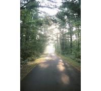 The Outside First Series, Vol. 3: A Journal for Summer and Abundance