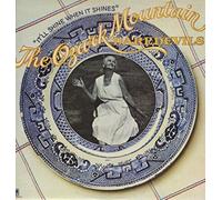 The Ozark Mountain Daredevils - It'll Shine When It Shines