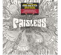 Paisley - Cosmic Mind At Play