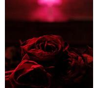 The Paper Kites Roses (Vinyl LP) 12" Album