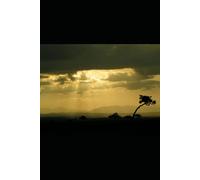 The Past Is Gone, Thou Cannot Recall: A journal for reflection, release, and renewal