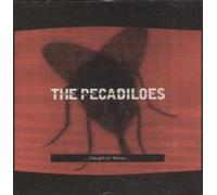 The Pecadiloes - Caught on Venus
